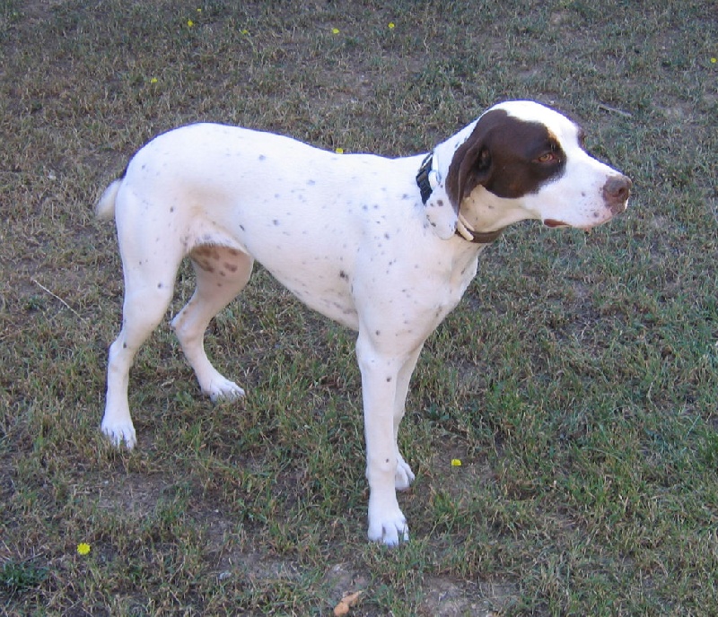 Coka (Sans Affixe)